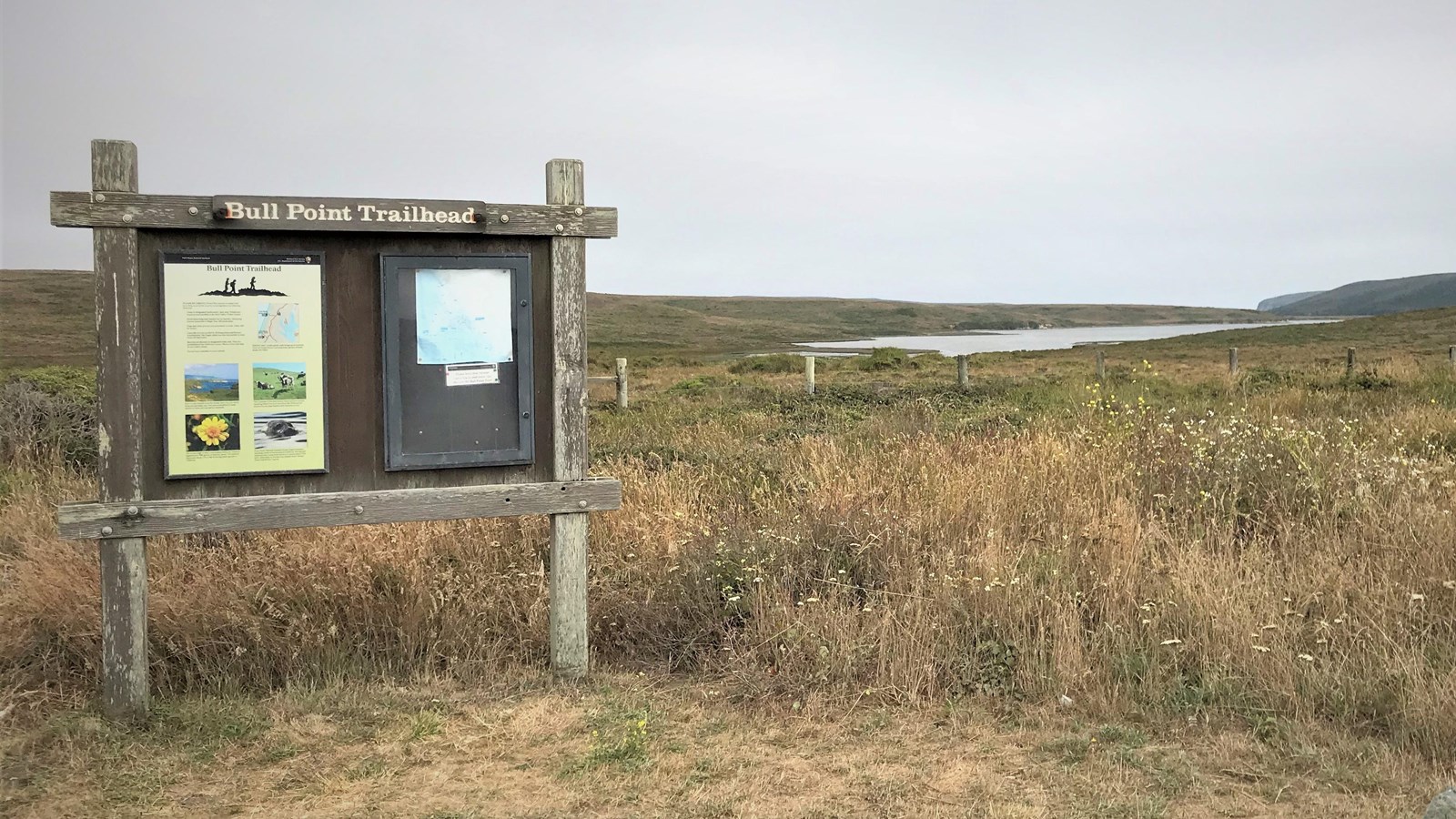 A kiosk with information, titled Bull Point Trailhead. A bay surrounded by grassland in the back. 