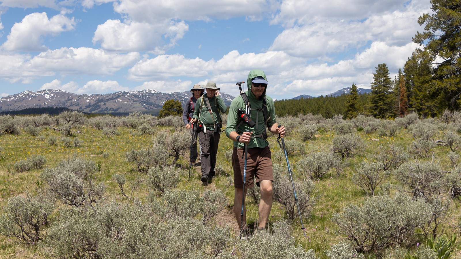 Three people hike through a field of sagebrush with mountains in the distance.