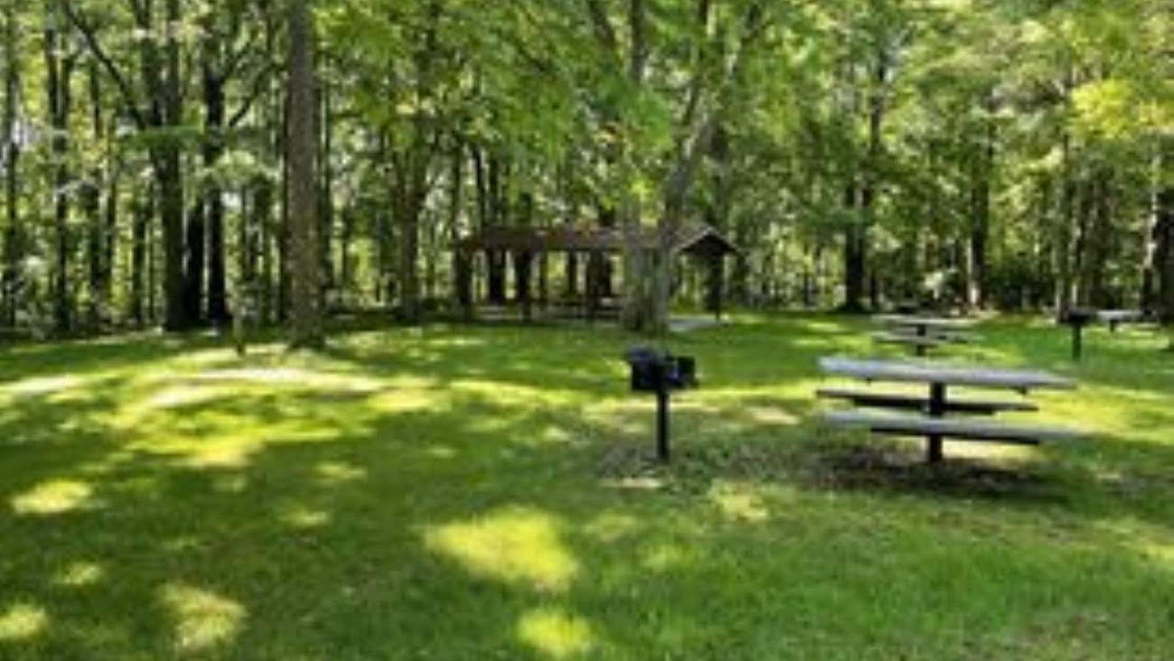 Picnic Area with a covered pavilion and numerous picnic tables