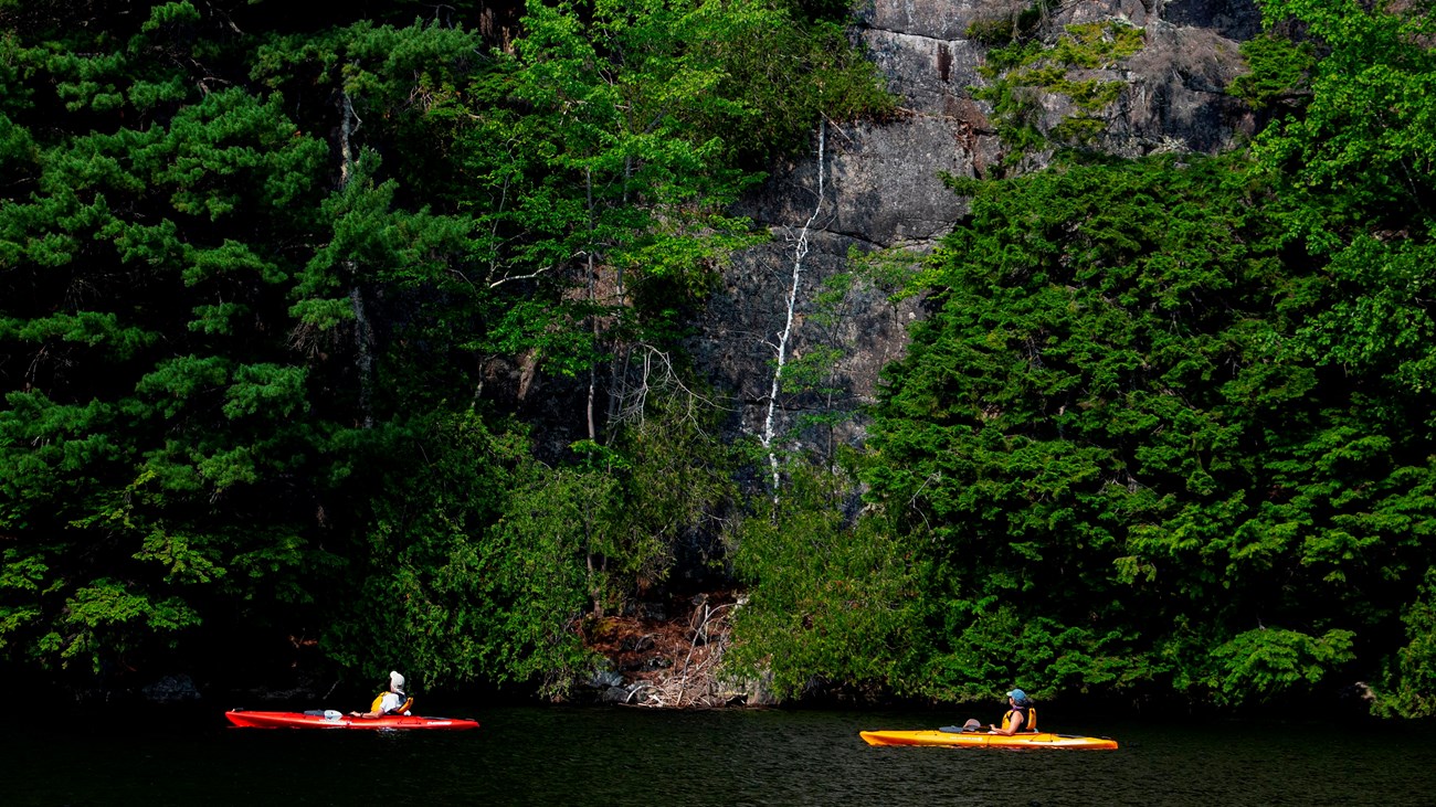 Two people in two kayaks, one red and one yellow, examine trees growing along a cliff by the water