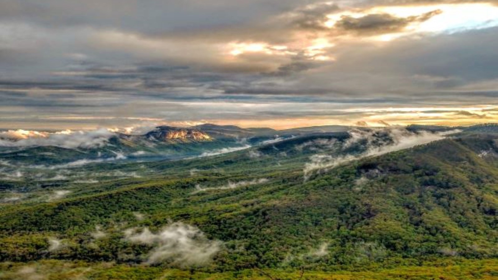 Tree-covered mountains with partly cloudy sky