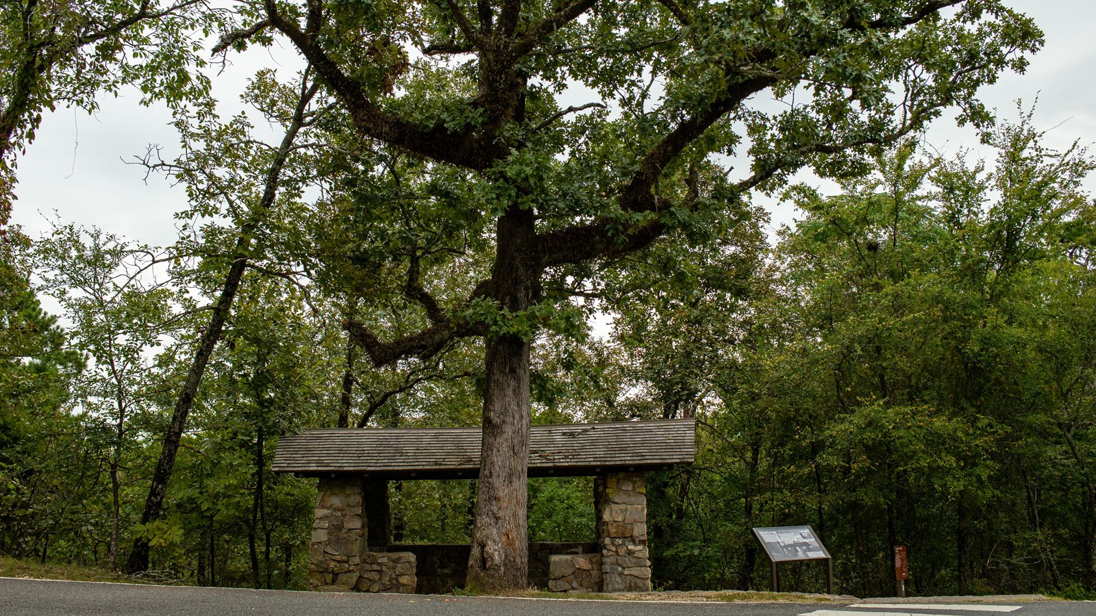 A stone shelter with a large tree in front of it