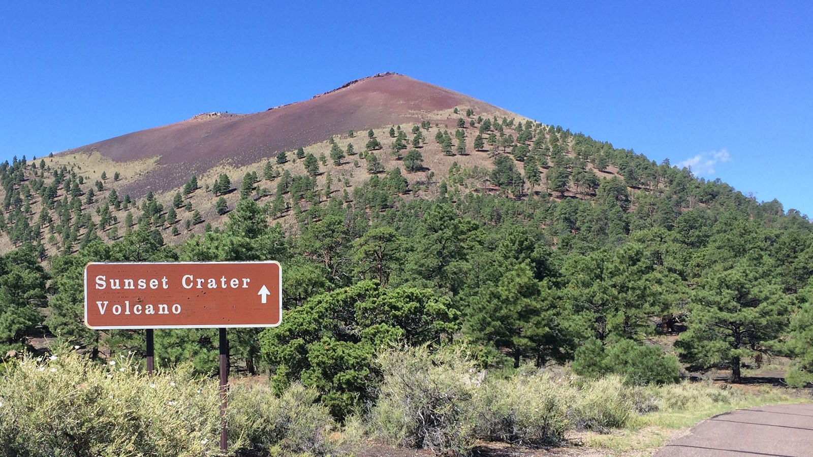 A red and black basalt cinder cone sparsely covered in trees as seen from a road. 