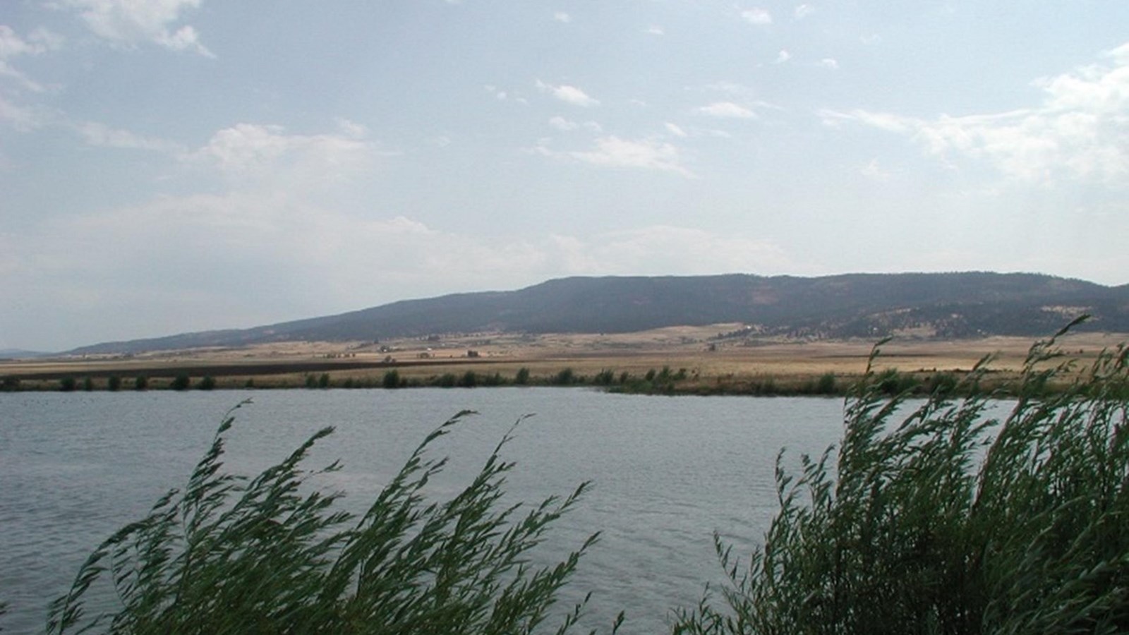 Blue lake with green shrubs and mountains