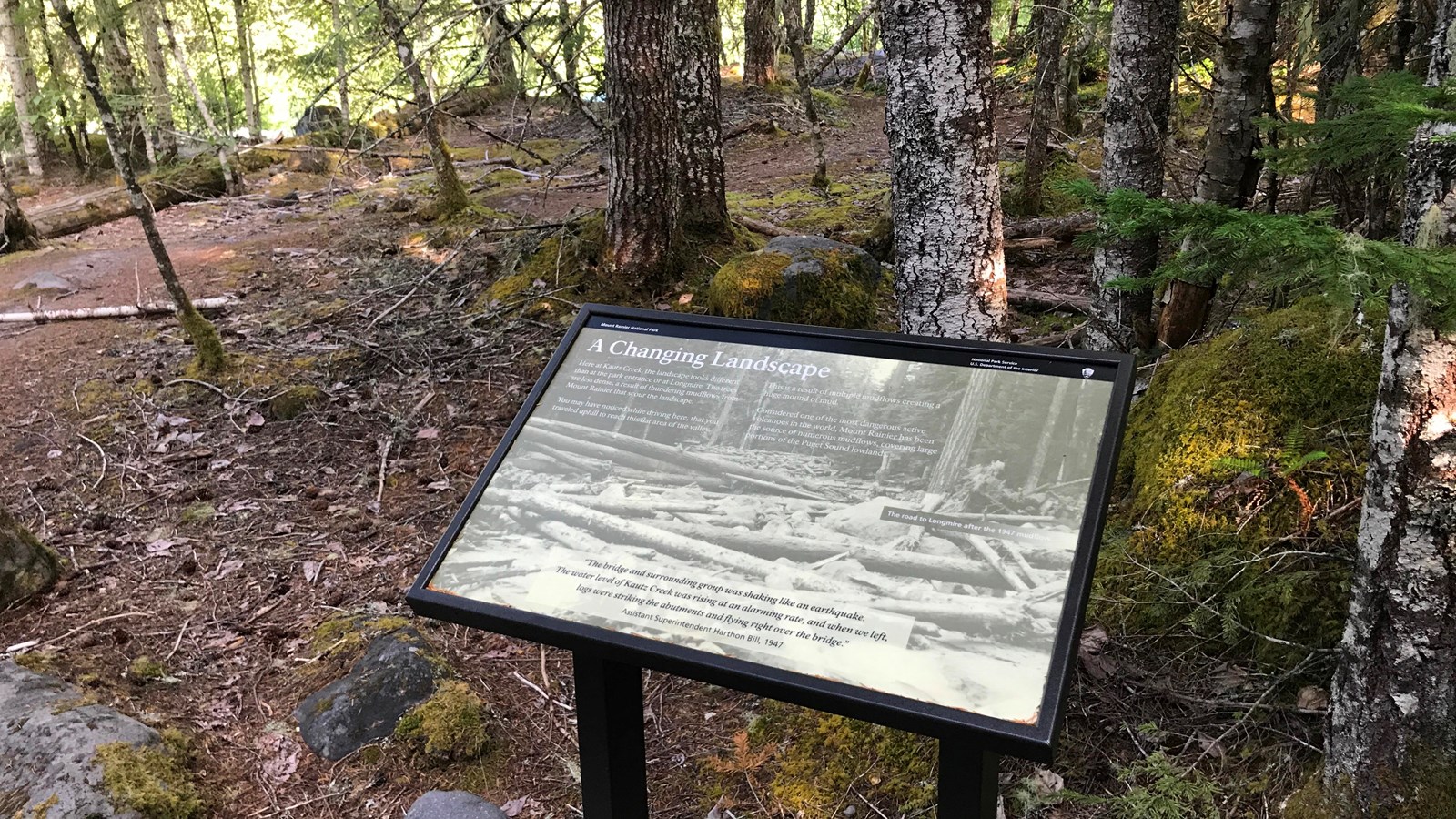 An exhibit panel in a metal stand in a forest. 
