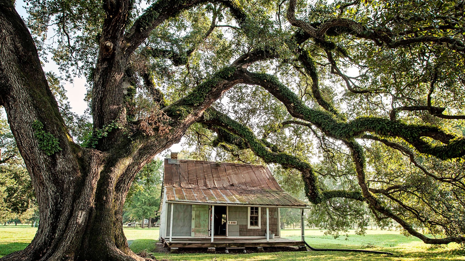 Cabin at the Oakland Plantation 