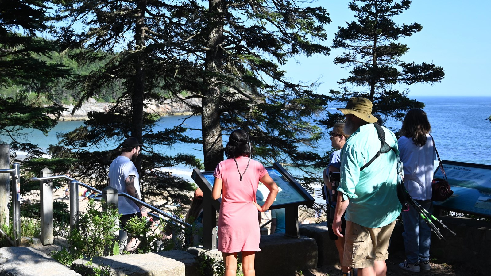 Group of visitors reading wayside exhibits at scenic overlook.