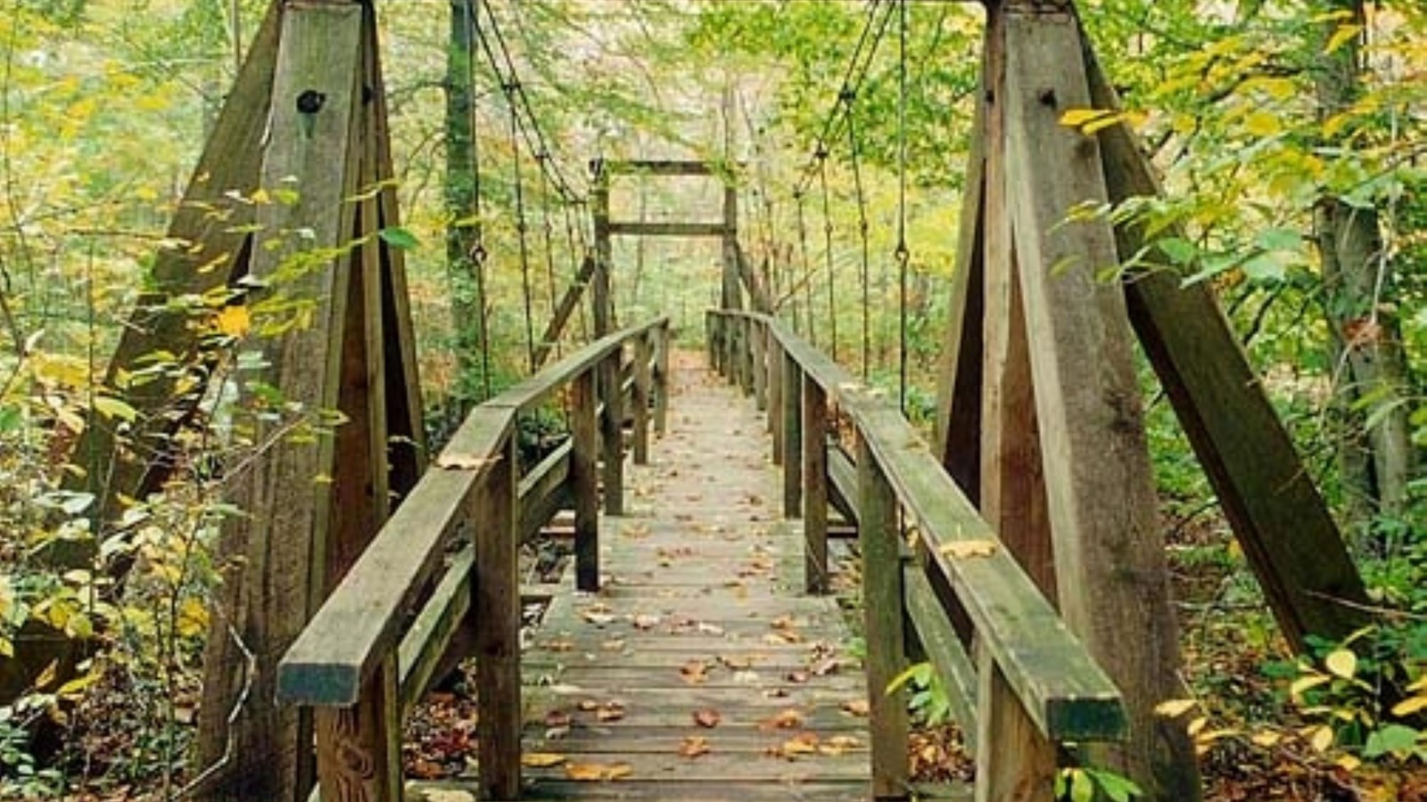 Laurel Trail Loop Swinging Bridge