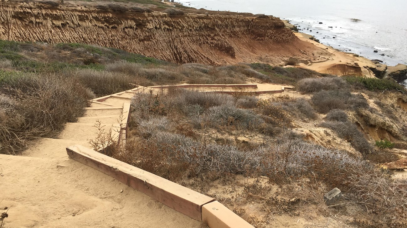 A long downward set of steps along a dirt path going towards the ocean.