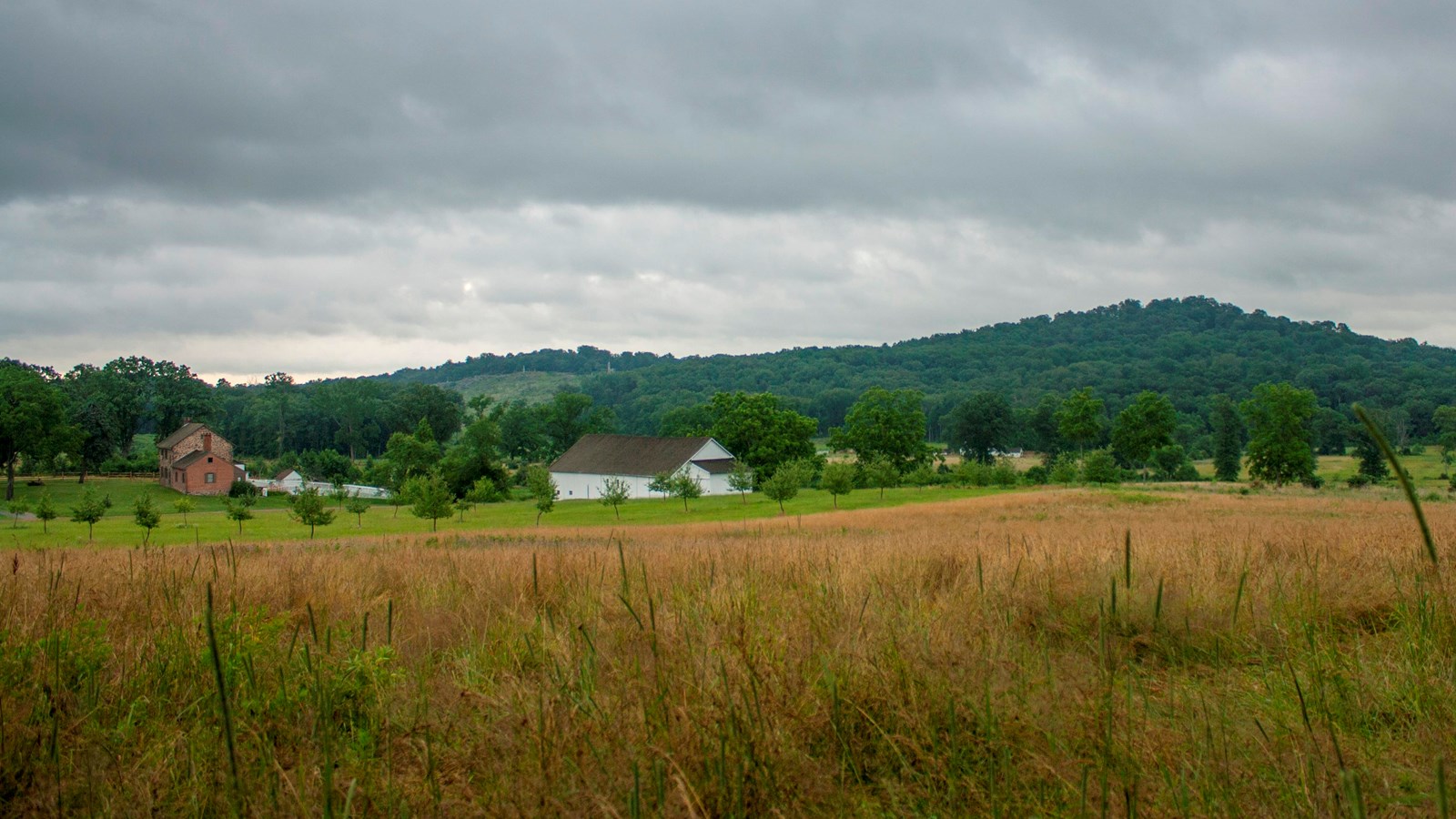 An open farmfield with a variety of red and white farm houses with hills in the background