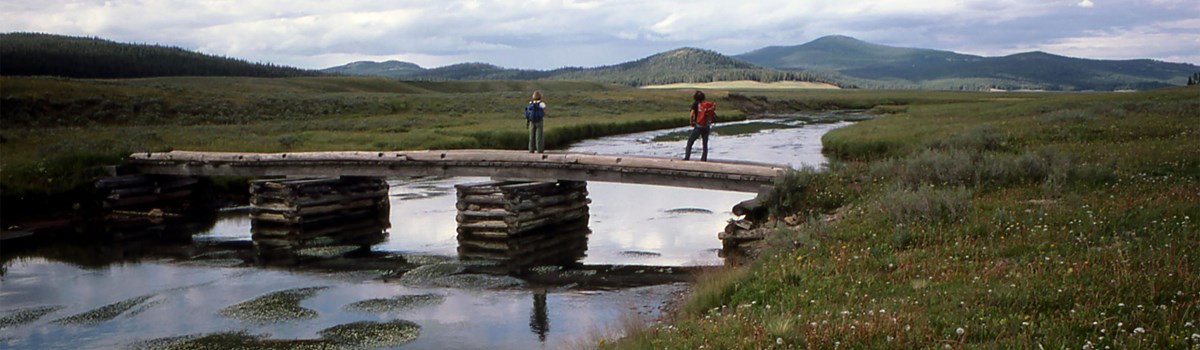 Hikers crossing a wooden bridge in the wide-open Pelican Valley.