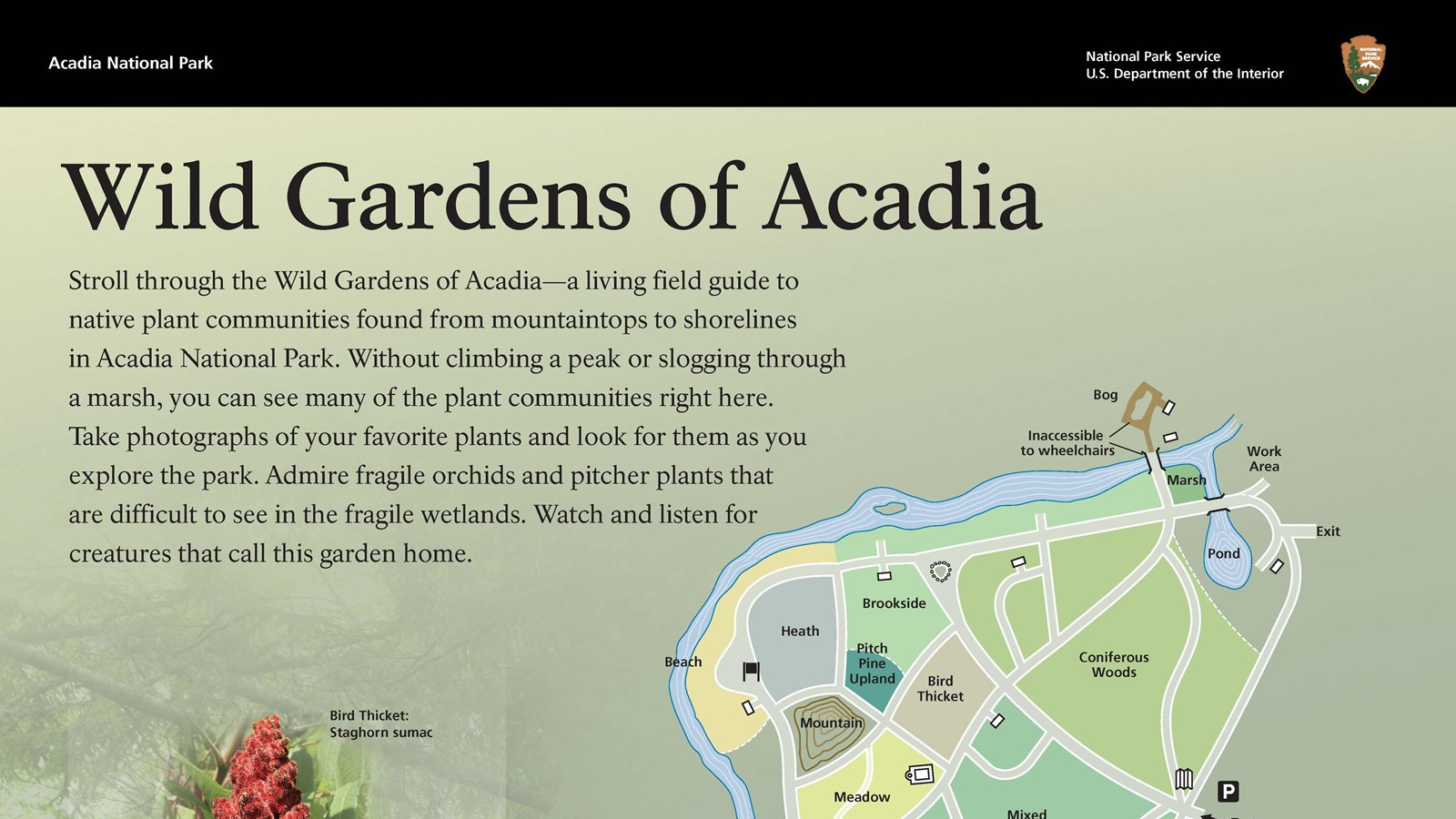 Partial image of an interpretive wayside entitled 