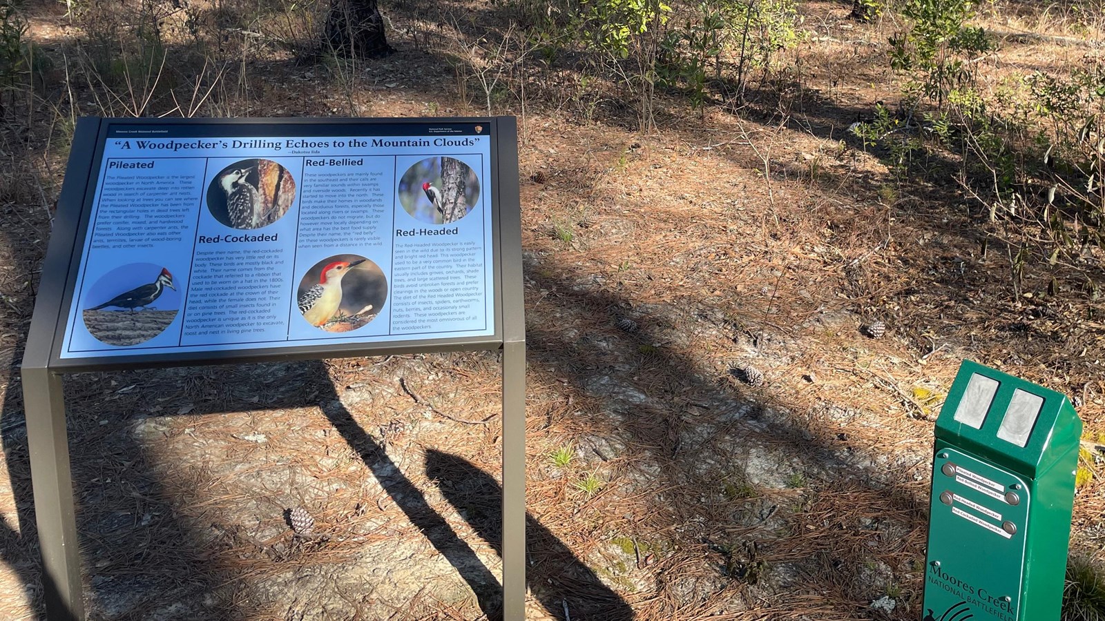 36 x 24 sign with green audio box