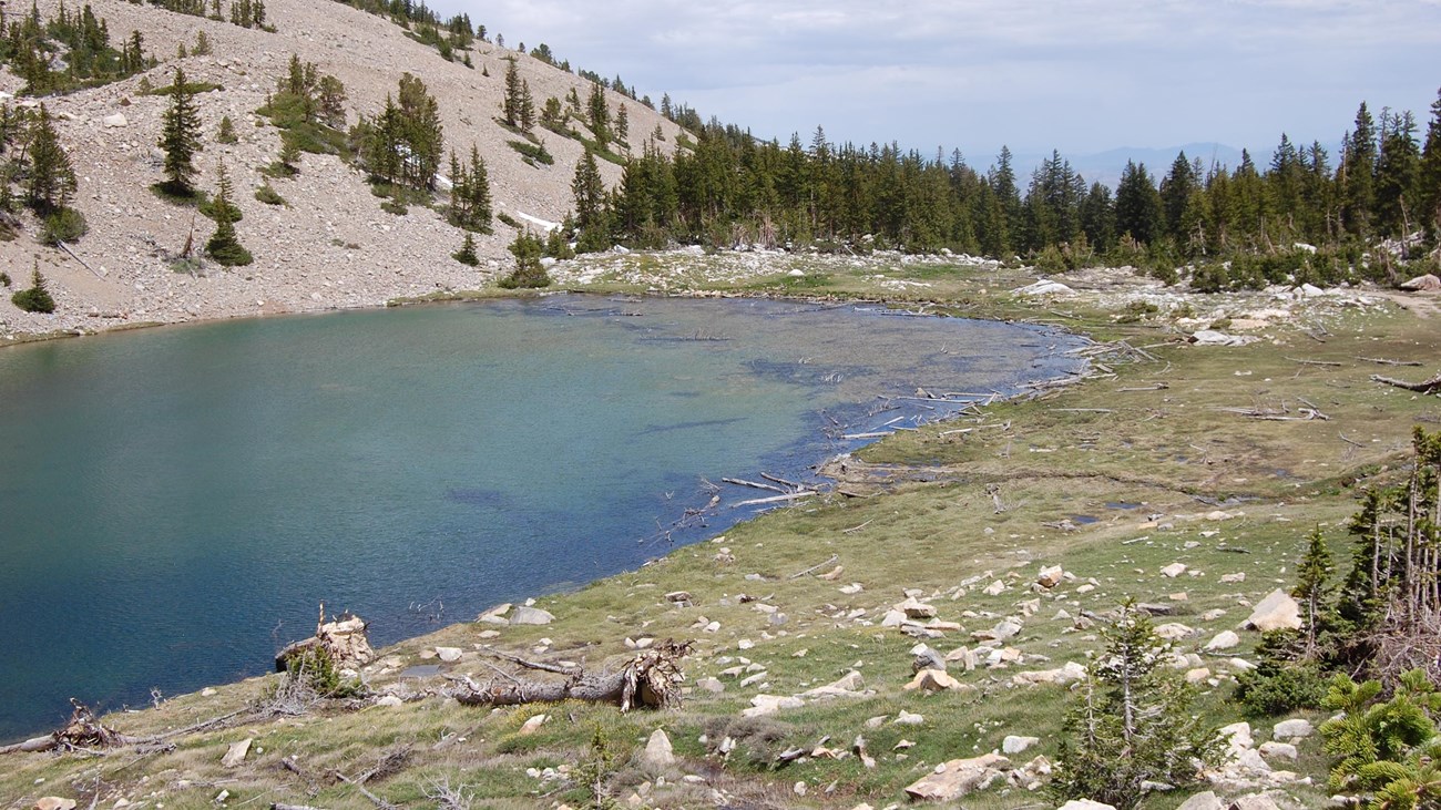 Mountain lake with downed trees on shore line