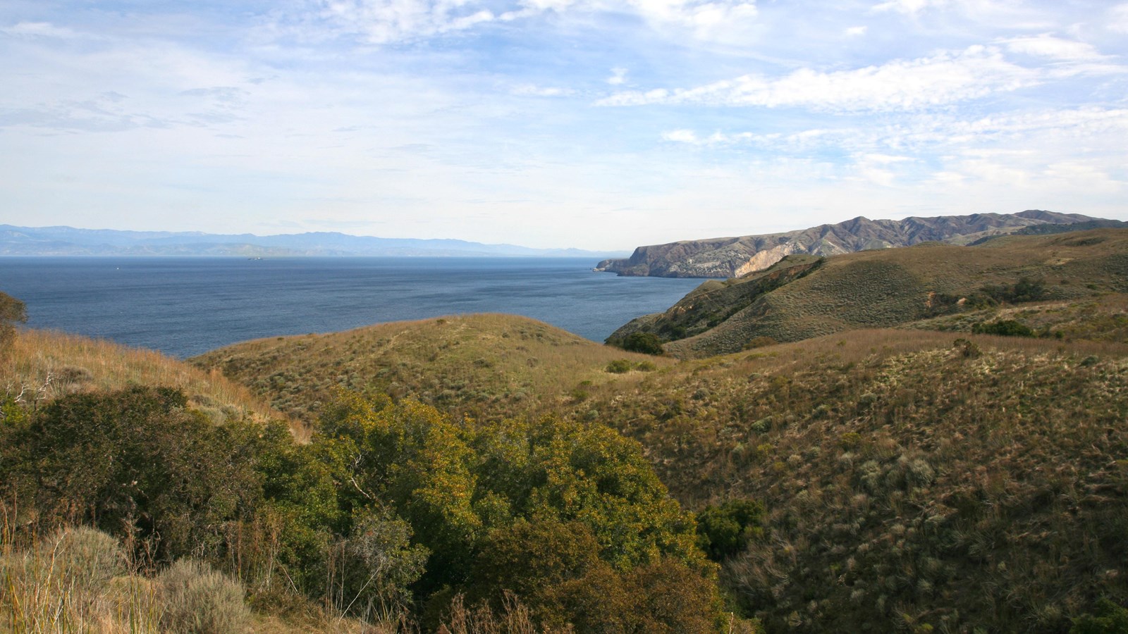 Sweeping coastal view of rugged bluffs and crescent bay. 