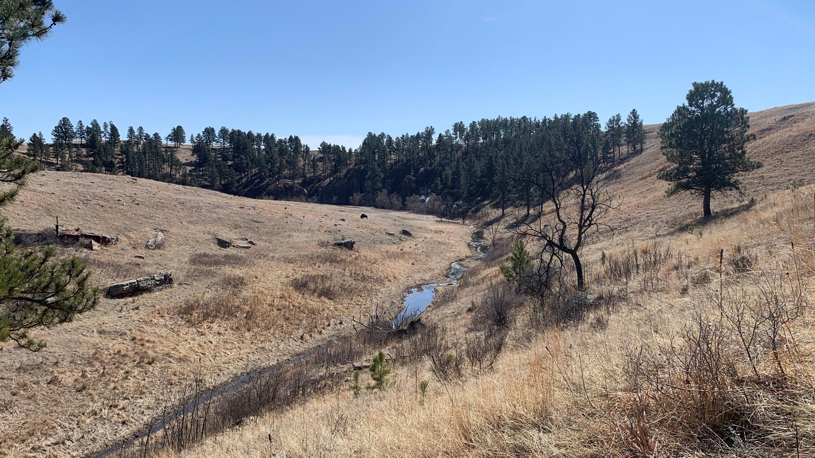 A creek runs along side the trail surrounded by prairie grasses.