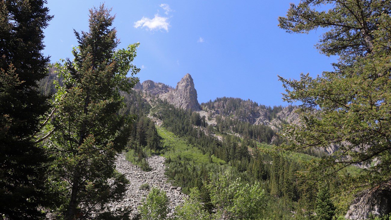 A rock pinnacle towers above at the top of a slope covered in boulders and green vegetation.