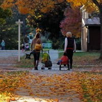 Mothers walk with their young children in a park with bright autumn foliage.