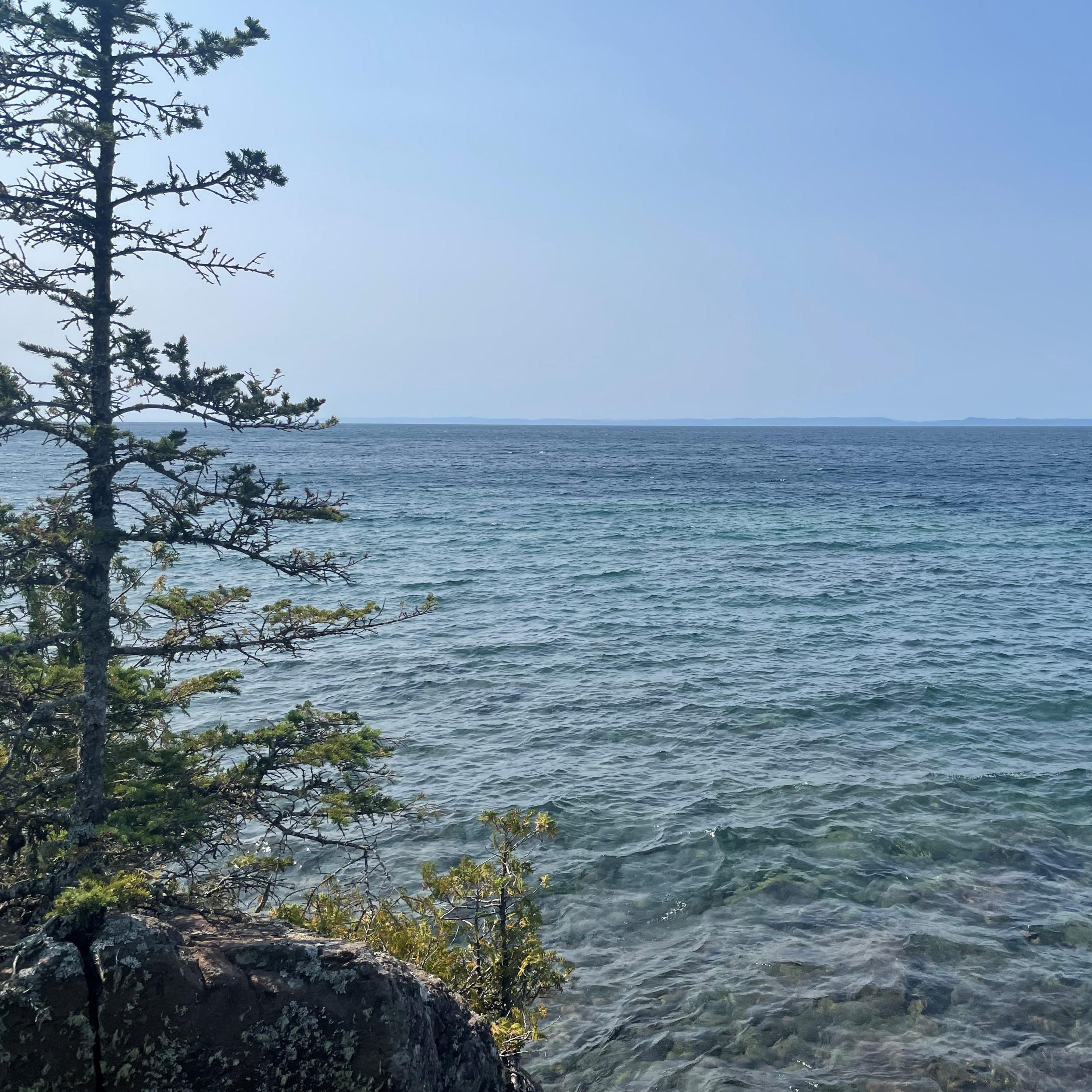 A scenic view of a large lake with a small pine tree on the shoreline at left.