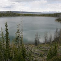 A small lake surrounded by conifer forest.