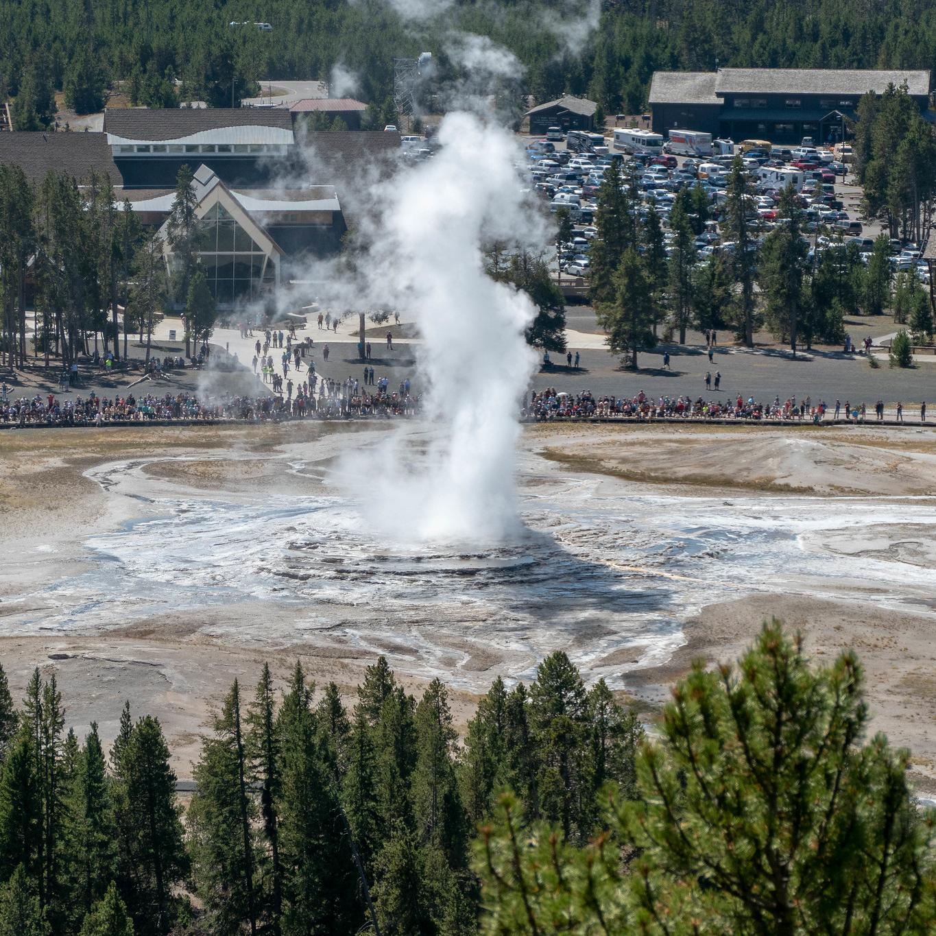 Water and steam erupt out of a geyser while people watch.