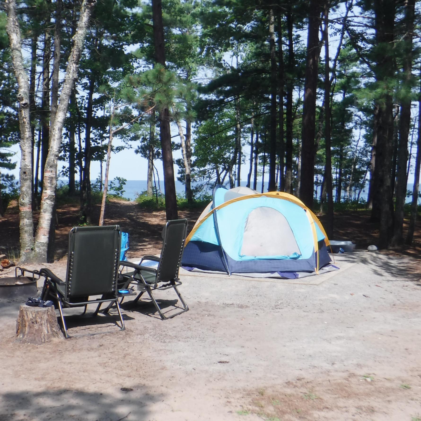 Small tent on tend pad with tall trees overhead
