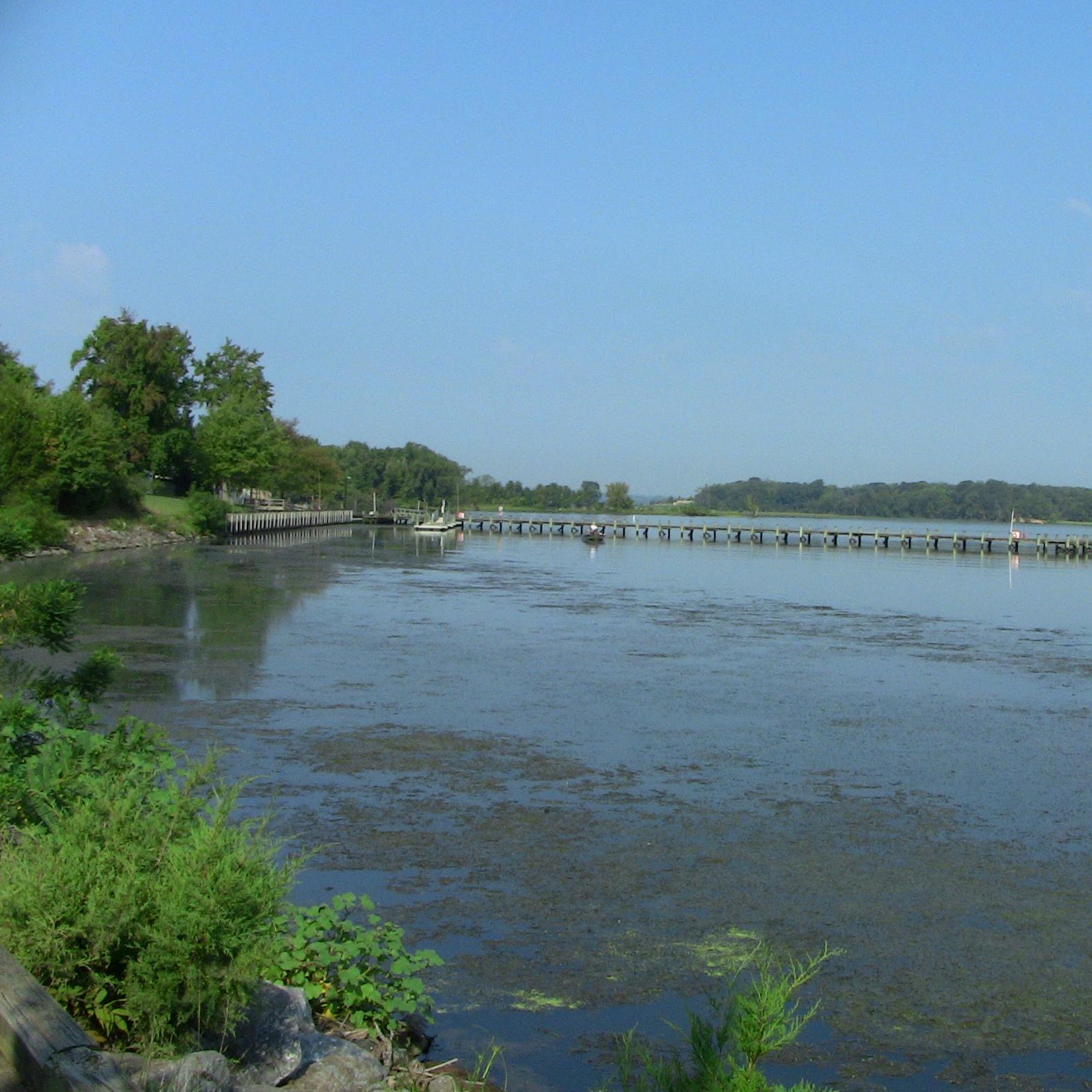 view of a wooden boat ramp, shoreline and water