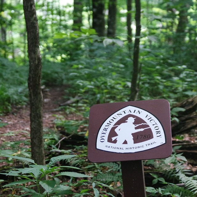 A brown metal sign beside a dirt trail in thick green forest.
