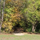 A trailhead opening between clusters of trees