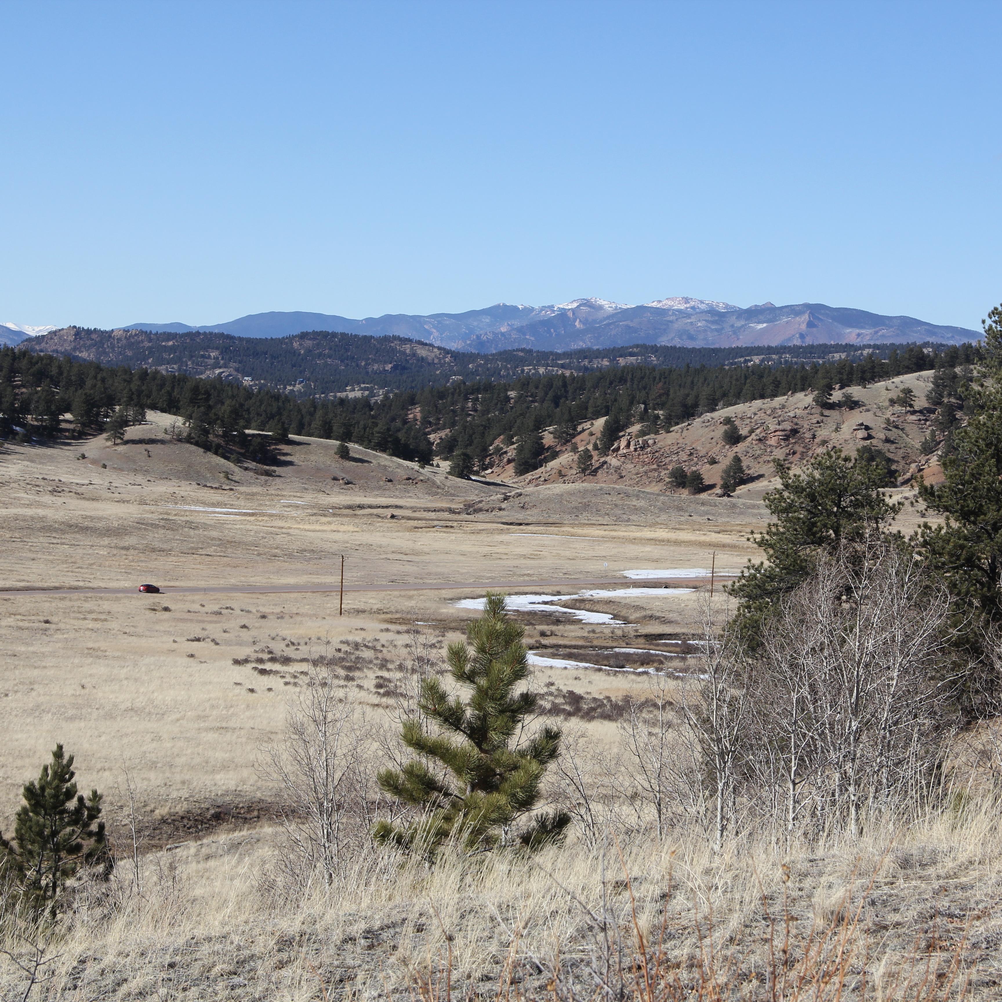 A grassy hillside with some trees overlooks a larger grassy valley with mountains in the background