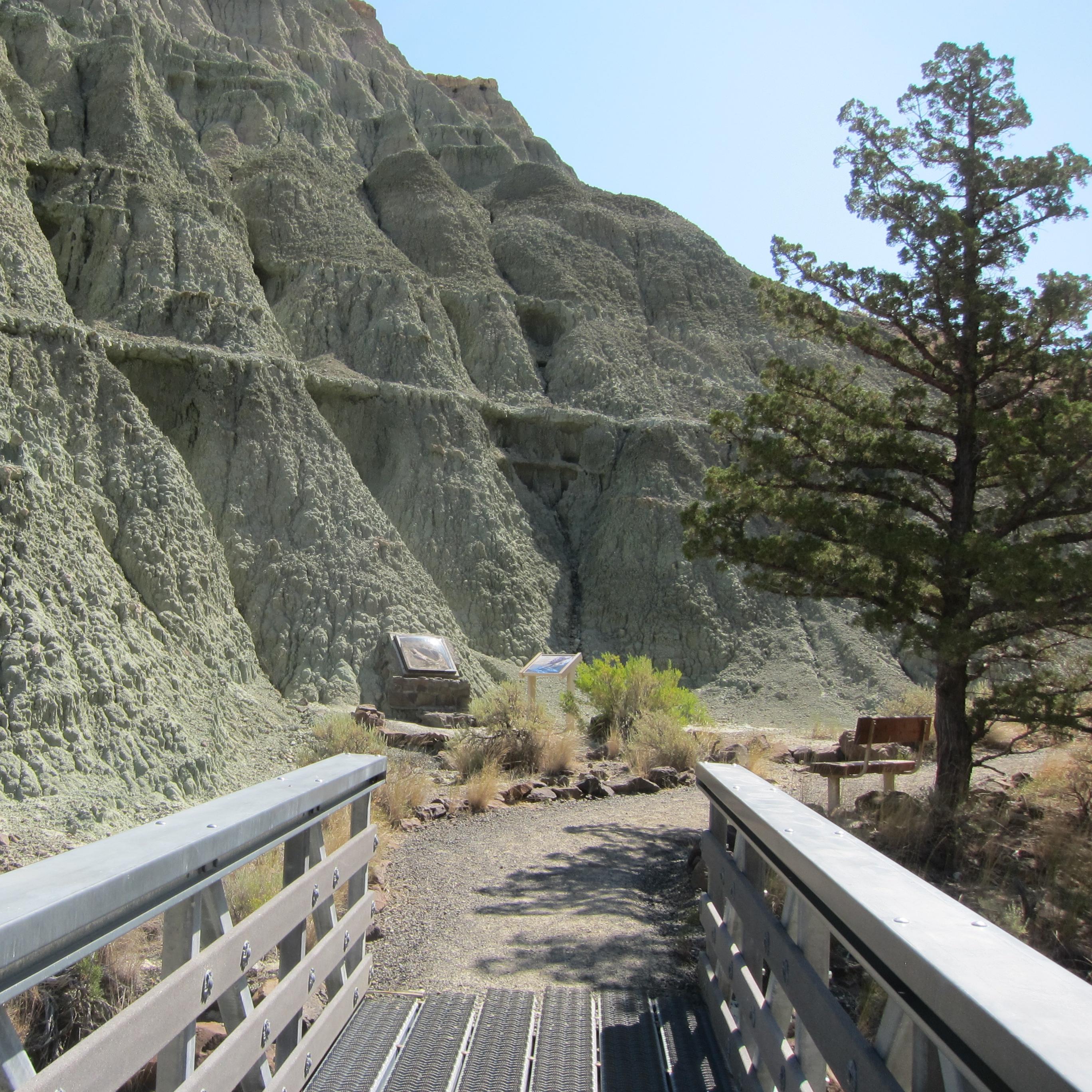 A metal bridge leads to blue-green claystones with a tree on the side.