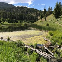 Large beaver pond in an alpine meadow