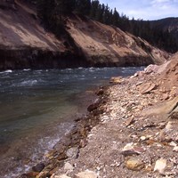 The Yellowstone River rushes through a yellow rock canyon.