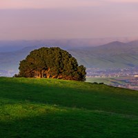 Green hill with a landscape view 