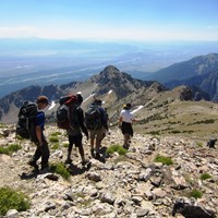 Four hikers walk down a steep, rocky trail.