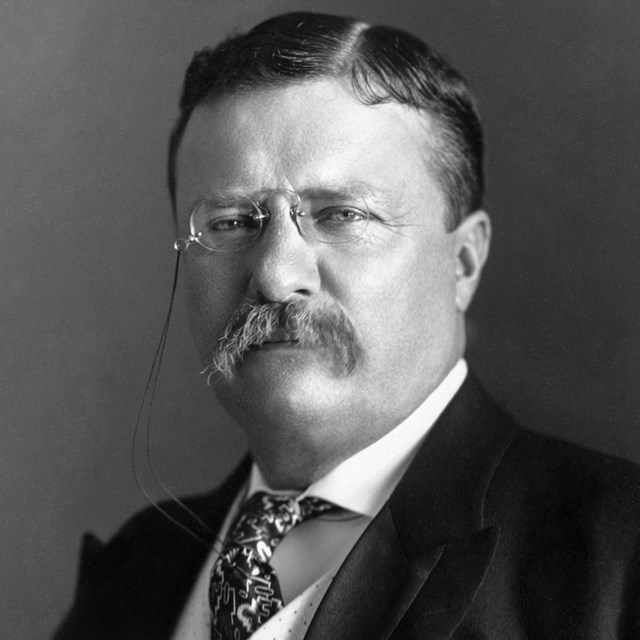 A black and white image of TR. He is wearing nez-pince spectacles over his well groomed mustache.