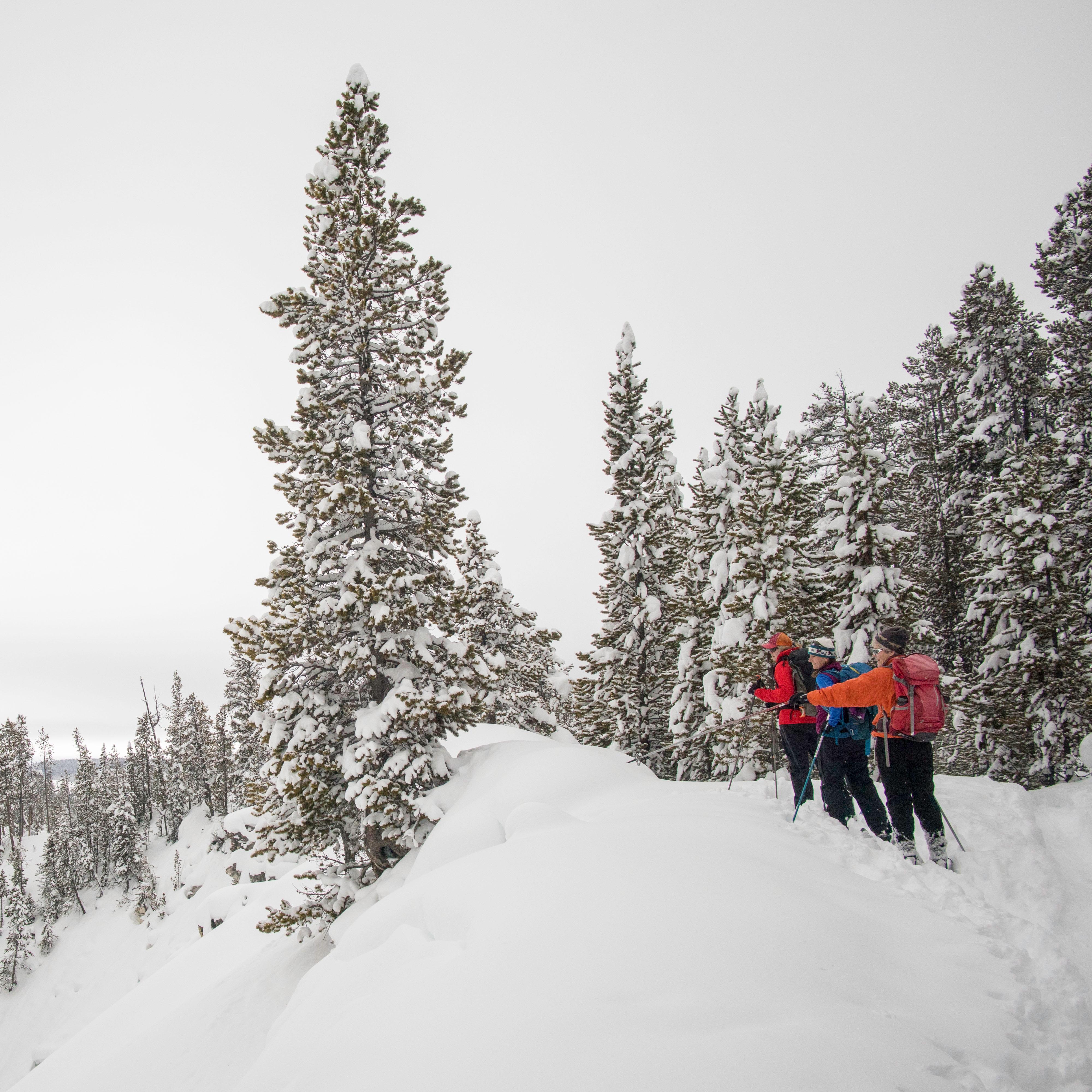 Skiers stop to admire the views of the Grand Canyon of the Yellowstone from the North Rim Trail.