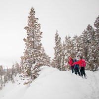 Skiers stop to admire the views of the Grand Canyon of the Yellowstone from the North Rim Trail.
