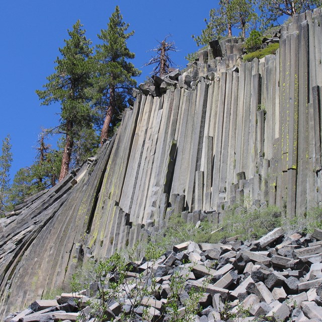 View of columnar basalt wall known as the Devils Postpile, with fallen, broken columns at base.