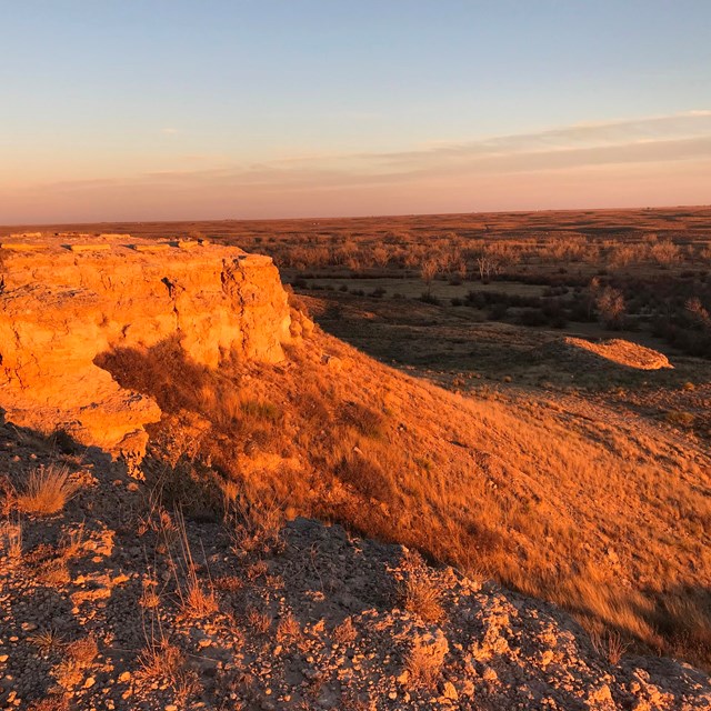 A rocky outcropping looks out over a vast grassland, under a warm setting sun.