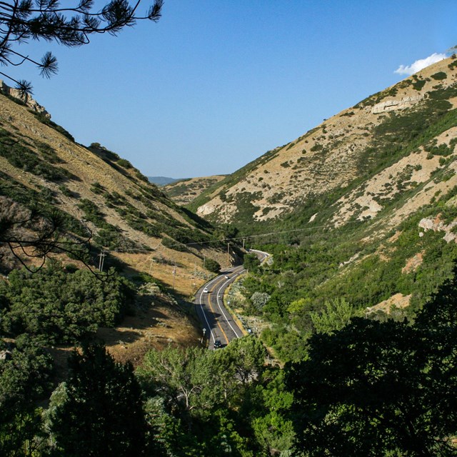 A steep-walled canyon, covered with green vegetation, under a blue sky.