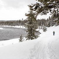 A lone skier makes her way along the Madison River on the Riverside Ski Trail.