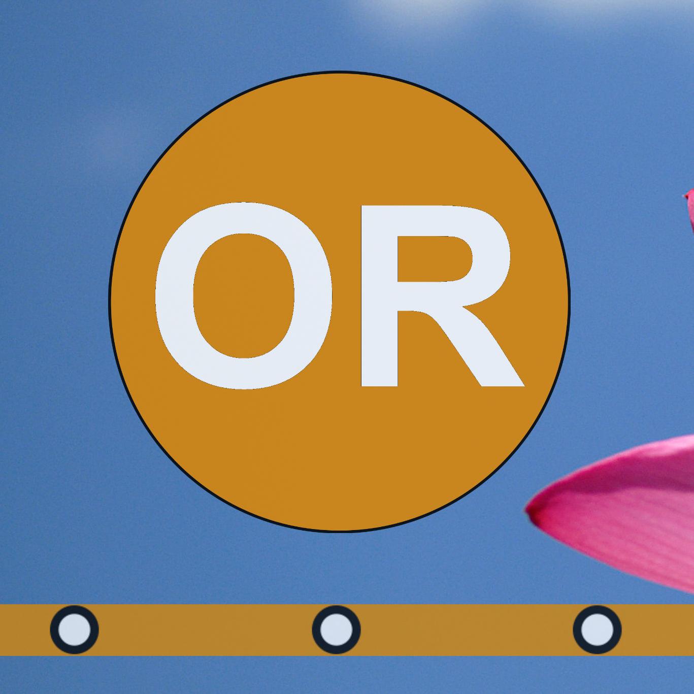 Orange Line Washington, DC Metro