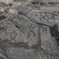 Pu‘u Loa Petroglyphs