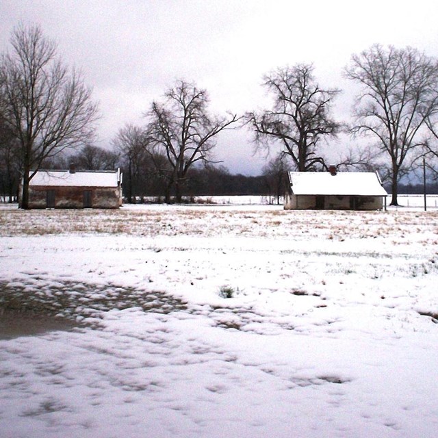 Historic slave cabins in snow-covered field