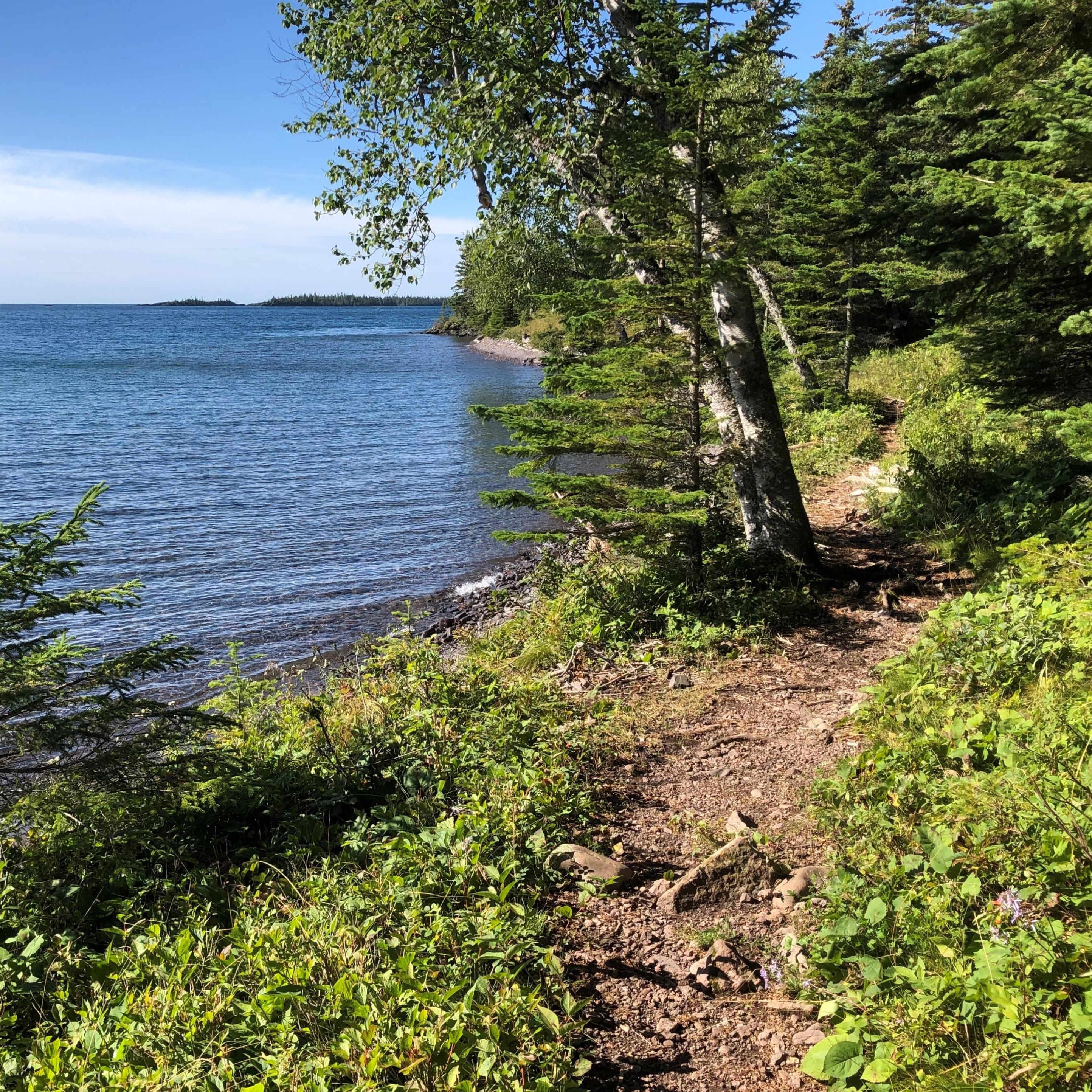 A trail along a shoreline surrounded by trees and shrubs near a lake with islands in distance.