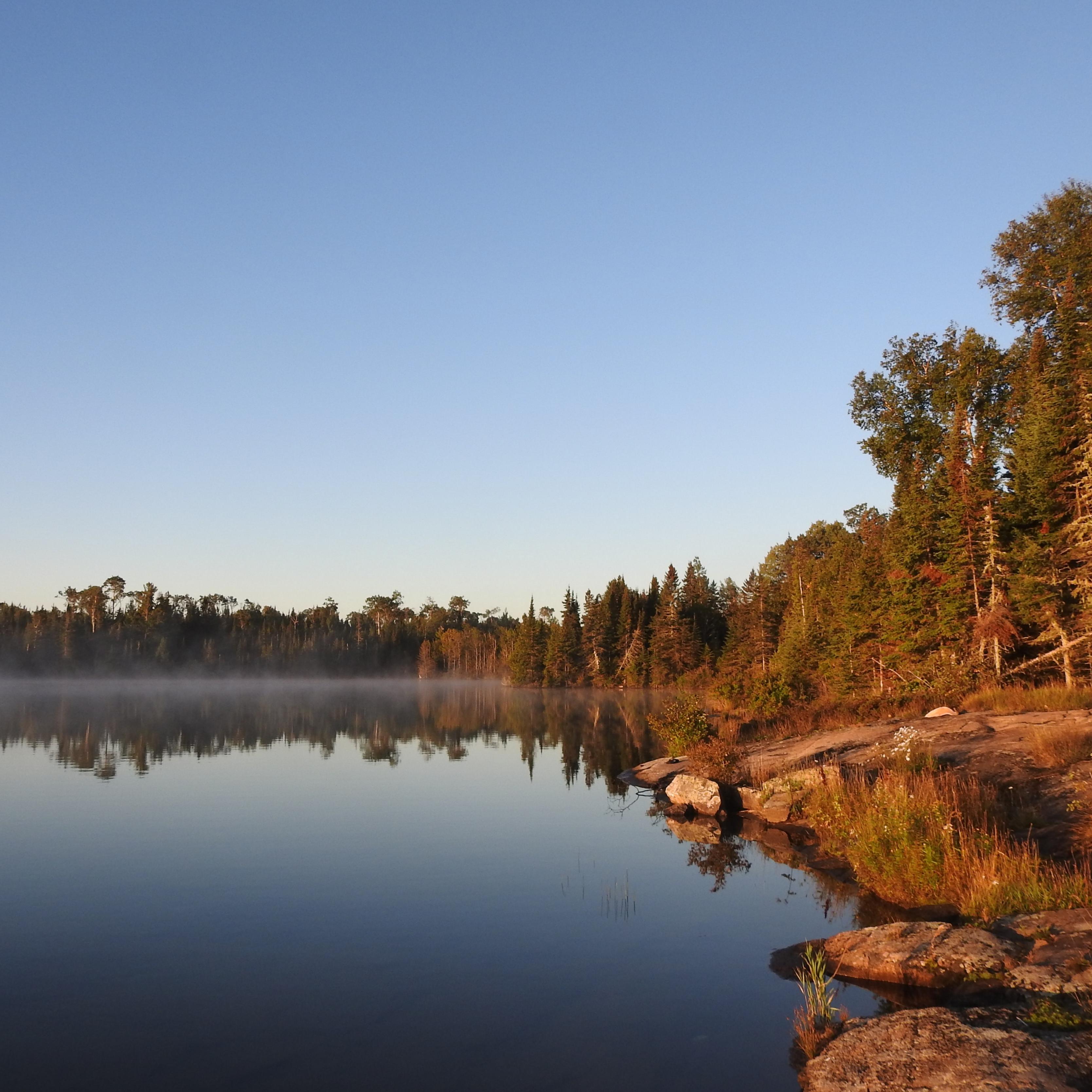A rocky shoreline before a forest by a lake. 