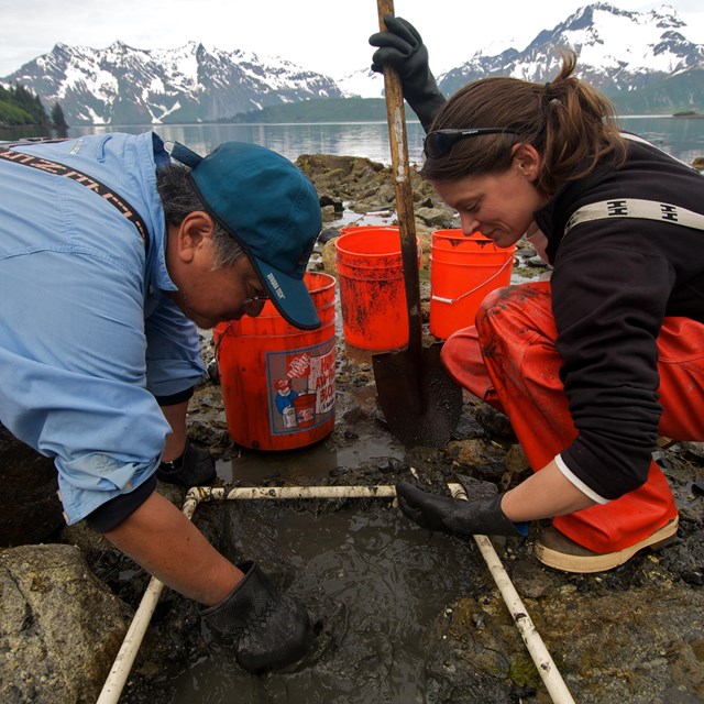 Two researchers investigate beach contents along Alaska\'s coastline.