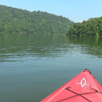 bow of a kayak on flatwater surrounded by forest