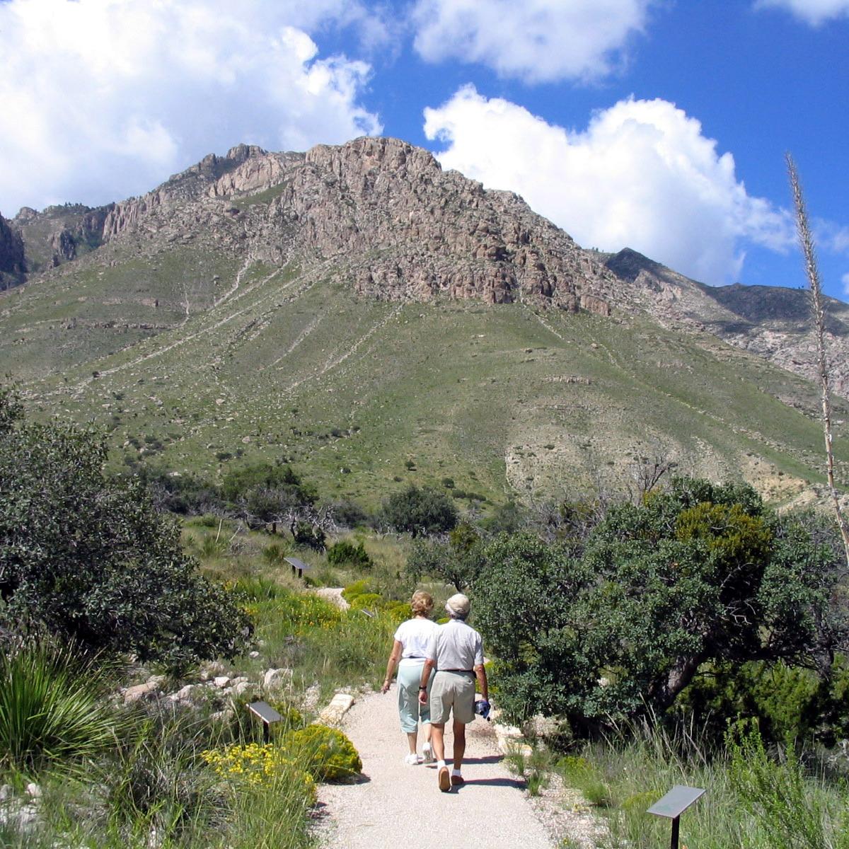 Two people walk a paved path through a bright desert landscape